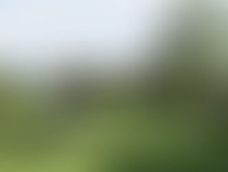 8 easy tips for the perfect lawn