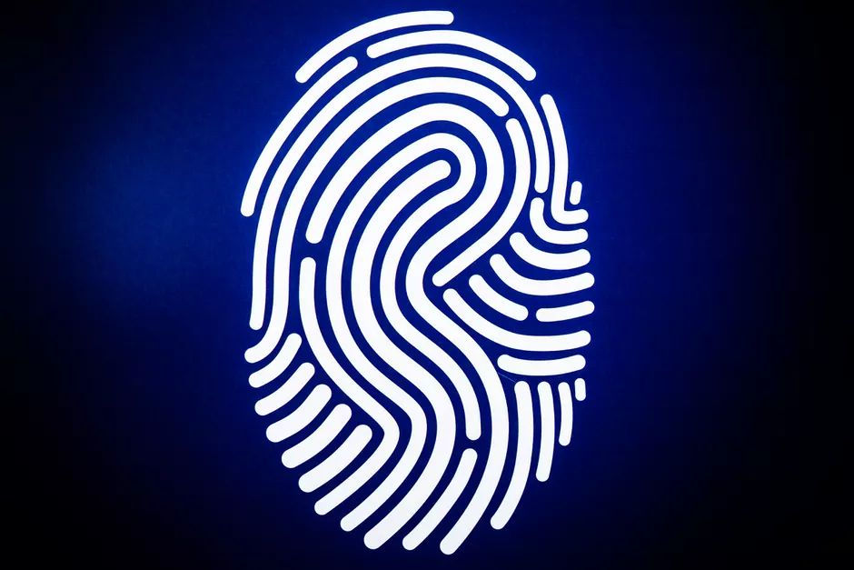 Understand the Types of Fingerprints
