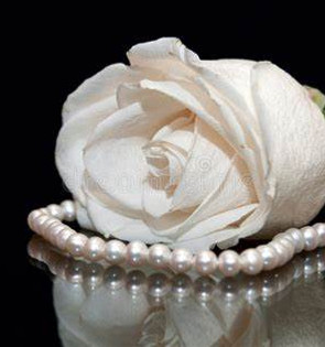 pearls and white roses 4.jpeg