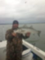 Texoma Striper Guide