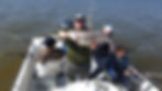 Texoma Striper Guide