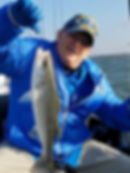 Finallyfish.com