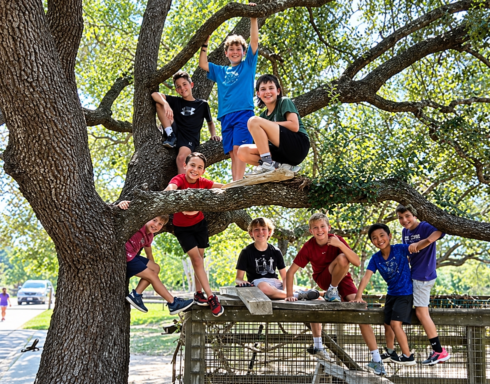 Smiling boys posing and climbing on huge tree branches in a sunny park, with a wooden platform and leafy background.