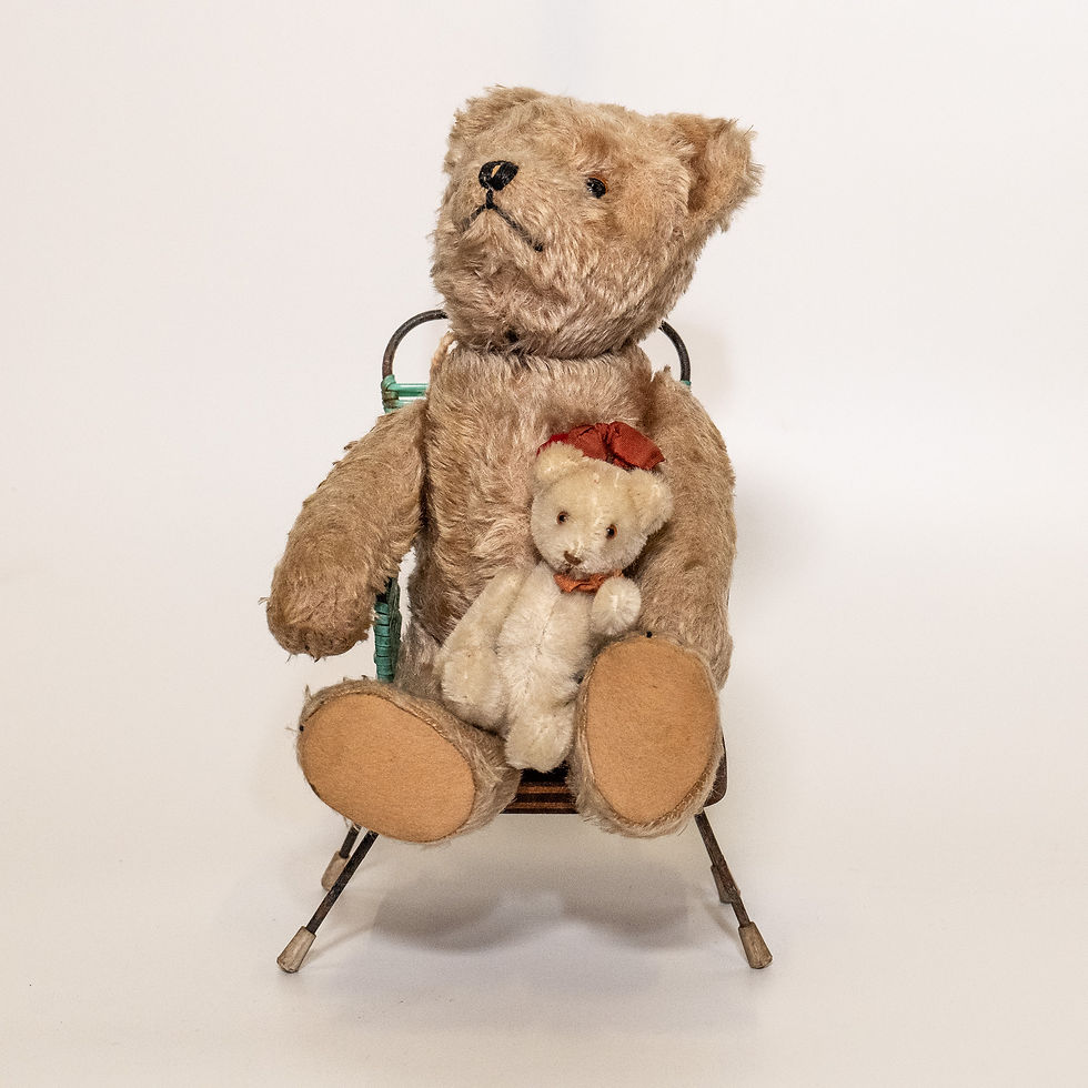 Coppia di Orsetti Schuco