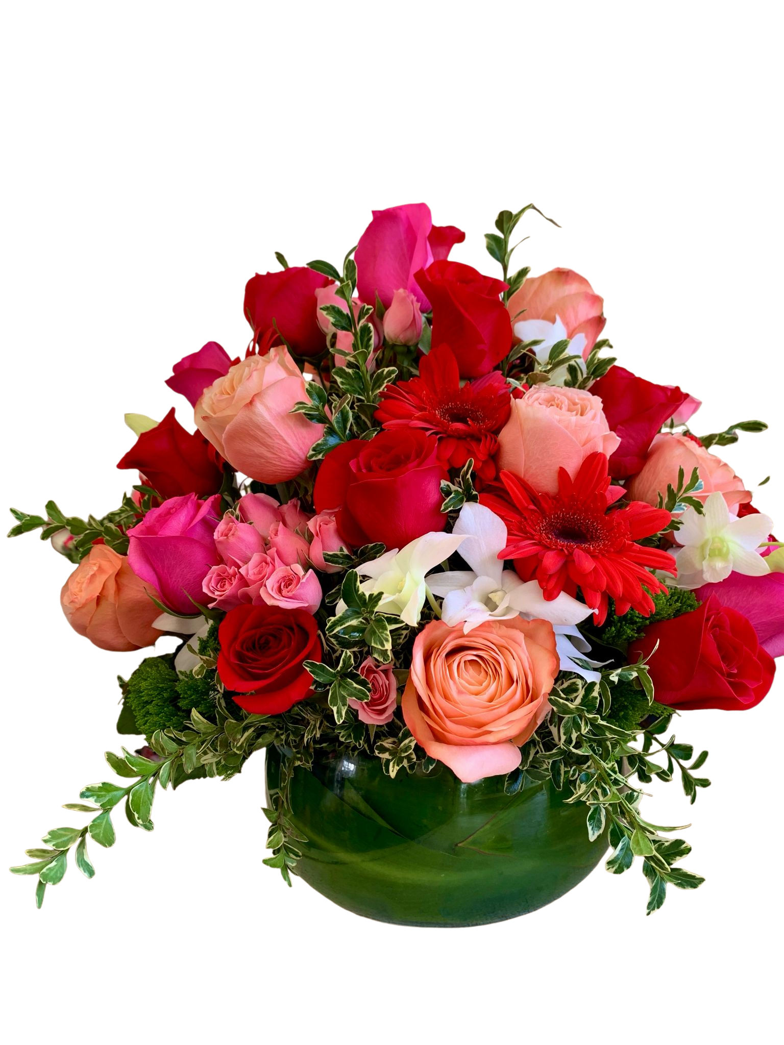 Special Design -SD017