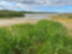 IMG_4578.jpeg