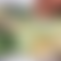 Ambiance et Style - Mes conseils de plantations et idées d'aménagement