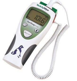 The BEST Thermometer for Dogs...