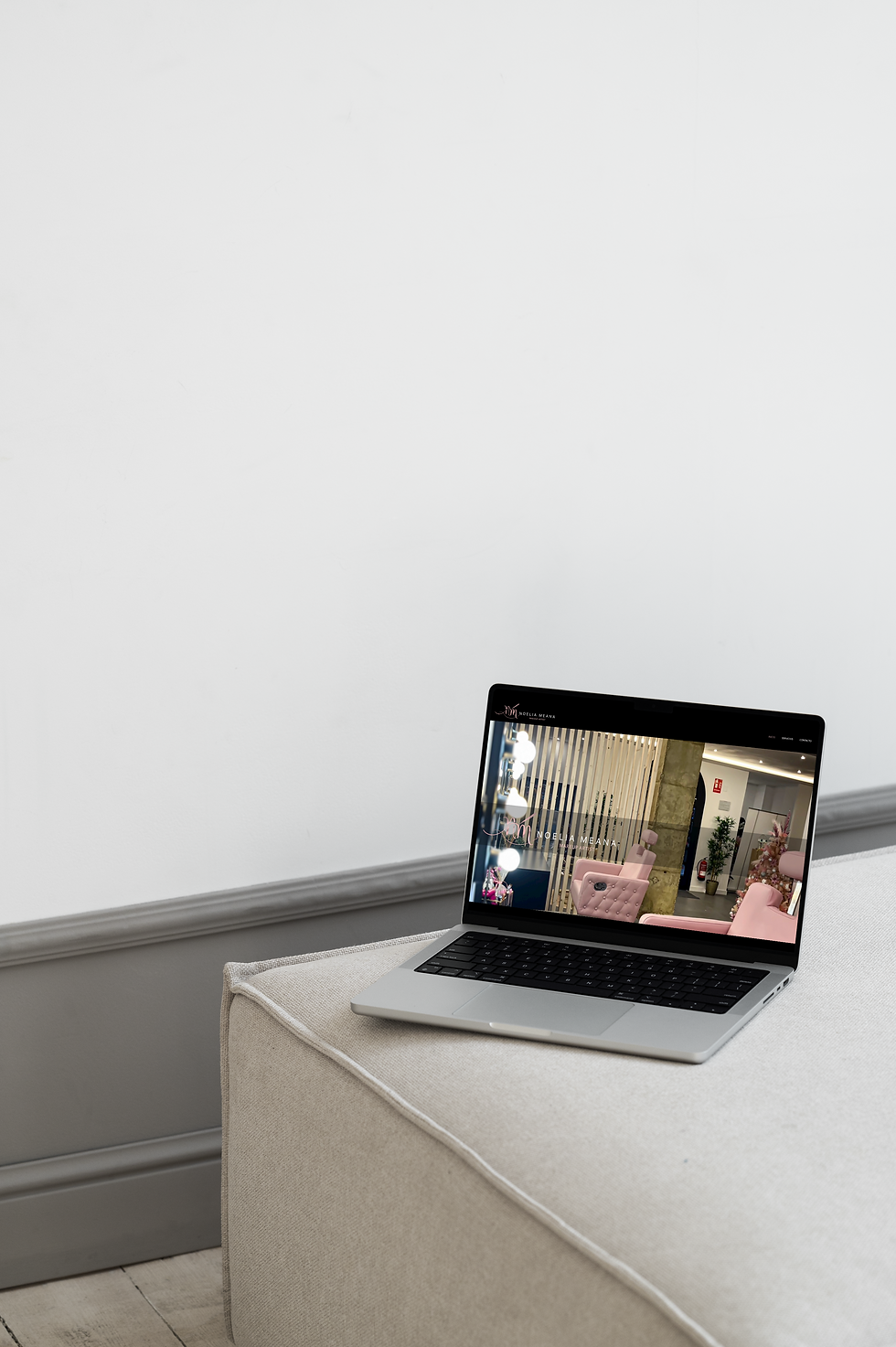 Proyecto Noelia Meana - Diseño web - Llada Marketing