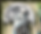 FA8E312B-6866-4BE0-A3BD-2D631EA0030D_edited.png