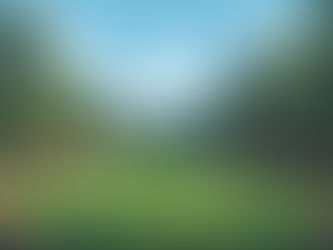 Golfu zdar!® Abeceda (nejen) o golfu