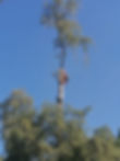 2020-06-19 09.08.55-4.jpg