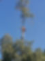 2020-06-19 09.08.55-4.jpg