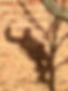 thumbnail.jpeg