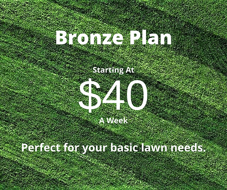 $40 Plan (2).png