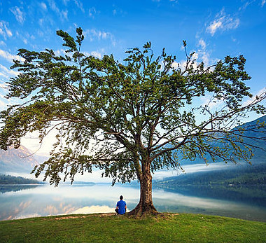 personne méditant au bord d'un lac près d'un arbre, symbolisant détente, calme et équilibre corps-esprit