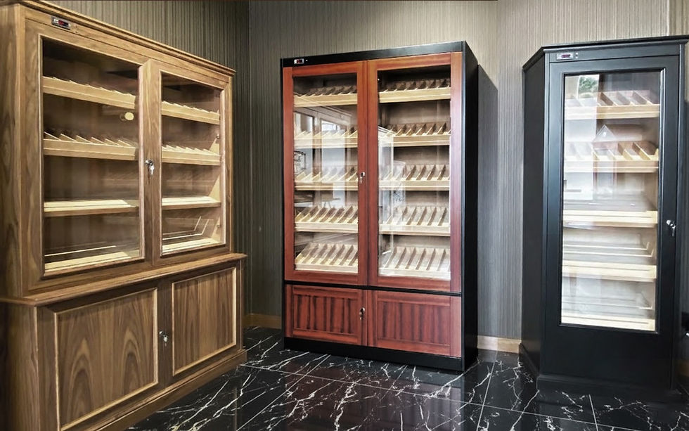 Luxury cigar cabinet with stable humidity and temperature control