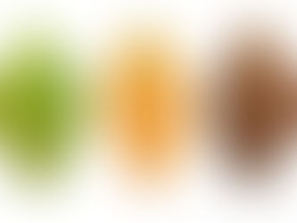 La Magie de la Production de Cigares : L’Art de la Fermentation et du Vieillissement dans la Création de Cigares De Luxe