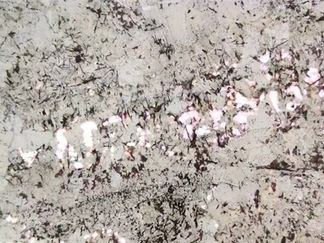 This natural stone white granite, Splendor White, contains translucent quartz inclusions that give it the unique property of a translucent granite, allowing it to be used as transparent granite and backlit granite to create luminous spaces.