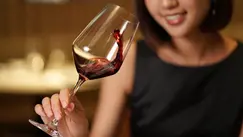 Le vin est bien plus qu’une simple boisson ; c’est une culture riche où chaque détail compte. L’un des éléments clés de cette culture est le verre à vin. La forme, la taille et le matériau d’un verre peuvent altérer de manière significative la perception du vin, mettant en valeur son arôme, son goût et sa texture. Dans cet article, basé sur des avis d’experts, nous explorerons l’anatomie des verres à vin, pourquoi leur forme est si importante et comment choisir les bons verres pour différents types de vin.
