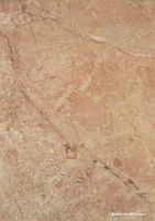 ENGLISH

Breccia Oniciata, Breccia Oniciata Rosata, Breccia Damascata, Breccia Pernice Chiara, Breccia Sarda Venata
Breccia Oniciata, Breccia Oniciata Rosata, Breccia Damascata, Breccia Pernice Chiara, and Breccia Sarda Venata are classic Italian breccia marbles known for their warm beige, rose, and soft brown tones. Characterized by a distinctive brecciated texture and natural veining, these stones bring timeless elegance to any space. Quarried in Italy, they are widely used for flooring, walls, bathrooms, and decorative accents in both traditional and contemporary design projects.

⸻

ITALIANO

Breccia Oniciata, Breccia Oniciata Rosata, Breccia Damascata, Breccia Pernice Chiara, Breccia Sarda Venata
Breccia Oniciata, Breccia Oniciata Rosata, Breccia Damascata, Breccia Pernice Chiara e Breccia Sarda Venata sono marmi brecciati italiani noti per le loro tonalità calde di beige, rosa e marrone chiaro. Con la loro texture brecciata e venature naturali, questi materiali offrono un’eleganza senza tempo. Estratti in Italia, sono ideali per pavimenti, rivestimenti, bagni e dettagli decorativi, sia in contesti classici che moderni.

⸻

РУССКИЙ

Breccia Oniciata, Breccia Oniciata Rosata, Breccia Damascata, Breccia Pernice Chiara, Breccia Sarda Venata
Breccia Oniciata, Breccia Oniciata Rosata, Breccia Damascata, Breccia Pernice Chiara и Breccia Sarda Venata — это классические итальянские мраморы с характерной брекчиевой структурой, теплой бежево-розовой палитрой и изысканным природным рисунком. Добываются в Италии и широко применяются в интерьерах и экстерьерах: от полов и стен до ванных комнат и декоративных элементов — как в классических, так и в современных проектах.

⸻

FRANÇAIS

Breccia Oniciata, Breccia Oniciata Rosata, Breccia Damascata, Breccia Pernice Chiara, Breccia Sarda Venata
Breccia Oniciata, Breccia Oniciata Rosata, Breccia Damascata, Breccia Pernice Chiara et Breccia Sarda Venata sont des marbres breccia italiens classiques, réputés pour leurs tons chauds de beige, rose et brun clair. Avec leur texture bréchique distincte et leurs veines naturelles, ces marbres apportent une élégance intemporelle à tout espace. Extraits en Italie, ils sont utilisés pour les sols, les murs, les salles de bains et les éléments décoratifs dans les projets de design traditionnels ou contemporains.

⸻

ESPAÑOL

Breccia Oniciata, Breccia Oniciata Rosata, Breccia Damascata, Breccia Pernice Chiara, Breccia Sarda Venata
Breccia Oniciata, Breccia Oniciata Rosata, Breccia Damascata, Breccia Pernice Chiara y Breccia Sarda Venata son mármoles brecciados italianos conocidos por sus tonos cálidos de beige, rosado y marrón suave. Su textura característica y vetas naturales brindan una elegancia atemporal. Extraídos en Italia, son ideales para suelos, paredes, baños y elementos decorativos tanto en diseños clásicos como modernos.