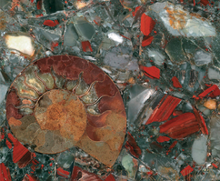 Transform your space with Duramica Bloodstone Panels—crafted as large-format panels, these GemStone pieces feature the unique blend of green and red patterns of bloodstone, providing a luxurious and striking enhancement to any decor. Deutsch:
Veredeln Sie Ihr Interieur mit den Duramica Blutstein-Paneelen – GemStone ist ein Großformat-Panel, das die kühnen und fesselnden Farben des Blutsteins hervorhebt und Ihrem Wohnraum eine edle sowie dramatische Note verleiht.

Français:
Élevez votre décoration avec les panneaux Duramica en Héliotrope – GemStone est un grand panneau format qui met en valeur les couleurs audacieuses et captivantes de l'héliotrope, apportant une touche raffinée et dramatique à votre espace de vie.

Español:
Eleve su decoración con los paneles Duramica de Heliotropo – GemStone es un panel de gran formato que resalta los colores llamativos y cautivadores del heliotropo, ofreciendo un toque refinado y dramático a su espacio vital.

Italiano:
Innalza il tuo arredamento con i pannelli Duramica in Eliotropio – GemStone è un pannello di grande formato che esalta i colori audaci e affascinanti dell'eliotropio, donando un tocco raffinato e drammatico al tuo spazio abitativo.

العربية (Arabic):
ارتقِ بديكورك مع ألواح Duramica من حجر الدم (هليوتروب) – جيمستون لوح كبير يبرز الألوان الجريئة والساحرة لحجر الهليوتروب، مقدماً لمسة أنيقة ومثيرة لمساحة معيشتك.

Русский:
Обогатите ваш декор панелями Duramica из гелиотропа – GemStone представляет собой крупноформатную панель, подчеркивающую насыщенные и завораживающие цвета гелиотропа, придающую вашему жилому пространству изысканный и драматичный акцент.

