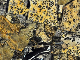 Detailed macro texture of a polished Duramica yellow fossil gemstone slab with black mineral patterns.