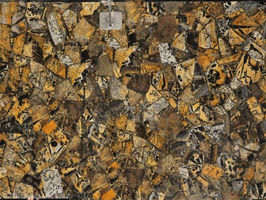 Polished slab of Duramica yellow fossil semi-precious gemstone mosaic tiles under showcase light.
