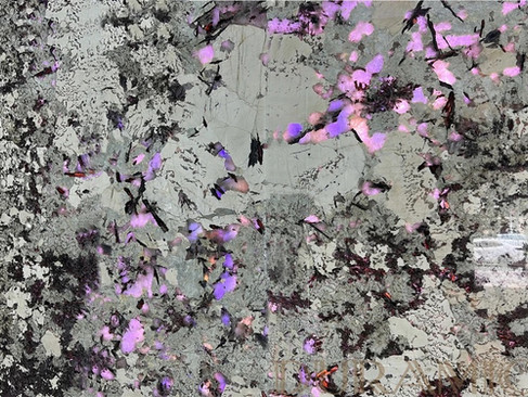 This unique white granite natural stone, Splendor White, features exceptional translucent quartz inclusions, classifying it as translucent granite and transparent granite, ideal for use as backlit granite in elegant architectural designs.