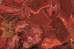 Enhance your interior with Duramica Jasper Red Panels—GemStone is a large-format panel featuring bold red jasper patterns, perfect for adding a touch of dramatic elegance and modern style to your wall panel decor. Deutsch:
Entdecken Sie die markante Eleganz der Duramica Jasper-Rot-Paneele – GemStone ist ein Großformat-Panel, das die leuchtenden Rottöne und natürlichen Muster des Jaspis präsentiert und modernem Interior Design einen eindrucksvollen, luxuriösen Akzent verleiht.
Français:
Découvrez l'élégance audacieuse des panneaux Duramica en Jaspe Rouge – GemStone est un grand panneau format mettant en valeur les nuances rouges vibrantes et les motifs naturels du jaspe, offrant une touche saisissante et luxueuse au design d'intérieur moderne.
Español:
Descubra la elegancia audaz de los paneles Duramica de Jaspe Rojo – GemStone es un panel de gran formato que exhibe los vibrantes tonos rojos y los patrones naturales del jaspe, ofreciendo un realce llamativo y lujoso al diseño de interiores moderno.
Italiano:
Scopri l'eleganza coraggiosa dei pannelli Duramica in Diaspro Rosso – GemStone è un pannello di grande formato che mostra le vivaci tonalità rosse e i motivi naturali del diaspro, regalando un tocco straordinario e lussuoso al moderno interior design.
العربية (Arabic):
اكتشف الأناقة الجريئة لألواح Duramica من العقيق الأحمر – جيمستون لوح كبير يعرض درجات اللون الأحمر النابضة بالحياة والأنماط الطبيعية لحجر العقيق، مقدماً لمسة مبهرة وفاخرة للتصميم الداخلي الحديث.
Русский:
Откройте смелую элегантность панелей Duramica из красная яшма – GemStone представляет собой крупноформатную панель с сочными красными оттенками и природными узорами красная яшма, создающую яркий и роскошный акцент в современном интерьере.
