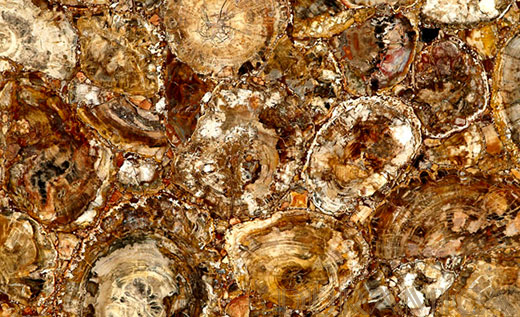 Each Petrified Wood Duramica Gemstone Panel embodies a unique aspect of nature, allowing you to infuse your home with the magic and wonder of the natural world, enriching your environment.