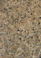 English:
Granite Giallo Veneciano (Yellow Venetian) – bright yellow granite with warm tones, ideal for luxurious interiors.
German:
Granit Giallo Veneciano (Gelb Venezianisch) – leuchtend gelber Granit mit warmen Tönen, ideal für luxuriöse Innenräume.
Spanish:
Granito Giallo Veneciano (Amarillo Veneciano) – granito amarillo brillante con tonos cálidos, ideal para interiores lujosos.
French:
Granit Giallo Veneciano (Jaune Vénitien) – granit jaune vif aux tons chauds, idéal pour des intérieurs luxueux.
Italian:
Granito Giallo Veneciano (Giallo Veneziano) – granito giallo brillante con toni caldi, ideale per interni lussuosi.
Arabic:
جرانيت Giallo Veneciano (أصفر فينيسي) – جرانيت أصفر مشرق مع درجات دافئة، مثالي للديكورات الفاخرة.
Russian:
Гранит Giallo Veneciano (Жёлтый Венецианский) — яркий жёлтый гранит с тёплыми оттенками, идеально подходит для роскошных интерьеров.