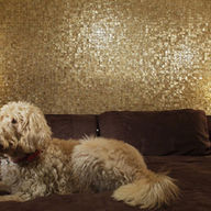 English
mother of pearl wall panels, mother of pearl decorative wall panel, mother of pearl tiles, mother of pearl mosaic tile, mother of pearl floor tile, mother of pearl shower tile, mother of pearl panel

Deutsch
Perlmuttwandpaneele, dekoratives Perlmuttpaneel, Perlmuttfliesen, Perlmuttmosaik, Bodenfliesen, Duschfliesen, Perlmuttpaneel

Español
paneles de pared de nácar, panel decorativo, azulejos de nácar, mosaico de nácar, baldosas de suelo, baldosas de ducha, panel de nácar

Français
panneaux muraux en nacre, panneau décoratif, carreaux en nacre, mosaïque en nacre, carreaux de sol, carreaux de douche, panneau en nacre

Italiano
pannelli murali in madreperla, pannello decorativo, piastrelle in madreperla, mosaico in madreperla, piastrelle per pavimenti, piastrelle per docce, pannello in madreperla

العربية
ألواح جدارية من عرق اللؤلؤ، لوح زخرفي، بلاط عرق اللؤلؤ، فسيفساء عرق اللؤلؤ، بلاط أرضية، بلاط حمام، لوح عرق اللؤلؤ

Русский
настенные панели из перламутра, декоративная панель, плитка из перламутра, мозаика, напольная плитка, душевая плитка, панель из перламутра