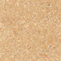 Английский
Golden Shell Sandstone features warm golden-beige tones with subtle shell-like patterns, ideal for elegant outdoor and indoor spaces.

Немецкий
Golden Shell Sandstein zeigt warme gold-beige Töne mit feinen muschelartigen Mustern – perfekt für stilvolle Innen- und Außenbereiche.

Испанский
Golden Shell Sandstone presenta tonos dorado-beige cálidos con delicados patrones de conchas, ideal para espacios interiores y exteriores.

Французский
Le grès Golden Shell offre des tons beige doré chaleureux et des motifs subtils évoquant des coquilles – parfait pour l’intérieur et l’extérieur.

Итальянский
Il Golden Shell Sandstone presenta tonalità beige dorato e leggere venature a forma di conchiglia, ideale per ambienti interni ed esterni.

Русский
Golden Shell Sandstone — песчаник тёплого золотисто-бежевого оттенка с нежными раковинными узорами, подходит для интерьеров и улицы.         العربية
يتميّز حجر الرمل “Golden Shell” بدرجات اللون البيج الذهبي الدافئ ونقوش دقيقة تشبه الأصداف، مثالي للمساحات الداخلية والخارجية الأنيقة.
