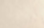 Beige background_edited.jpg