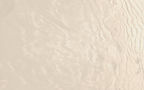 Beige background_edited.jpg