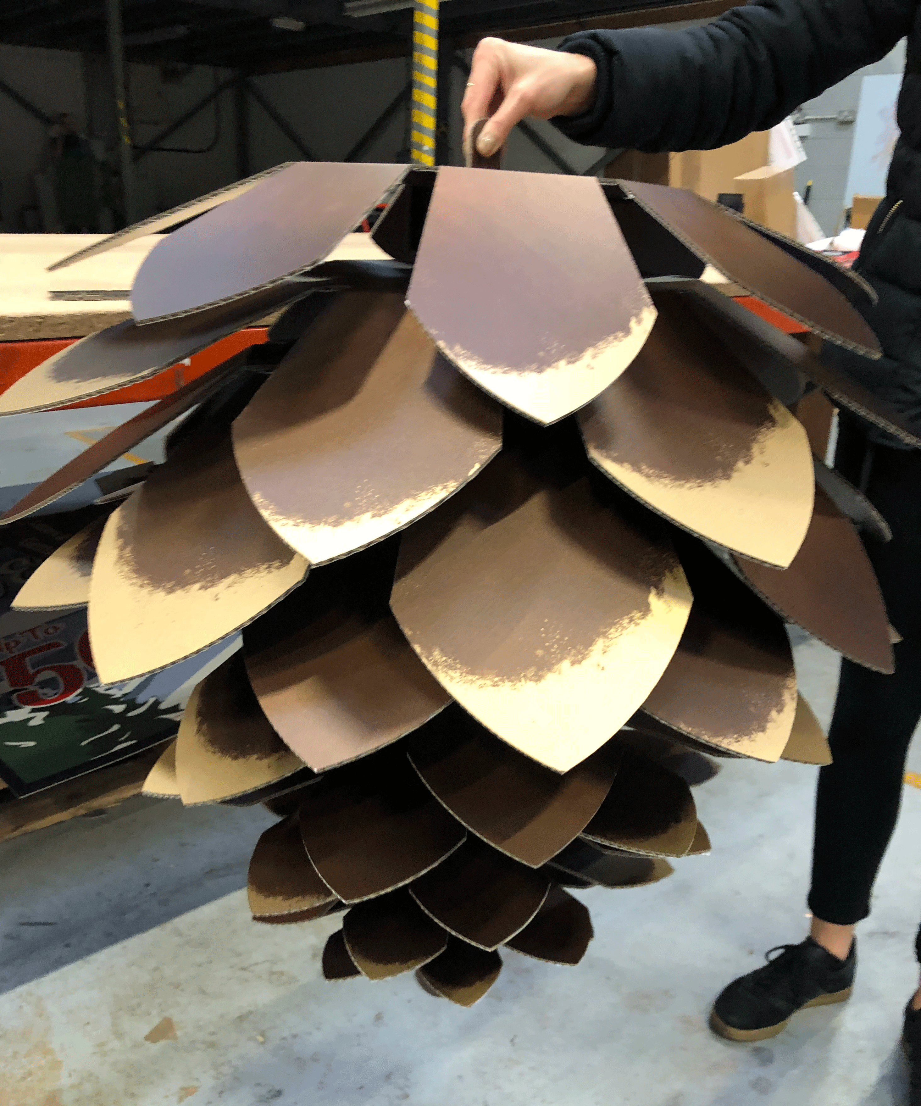 Joules-Pinecones-1.gif