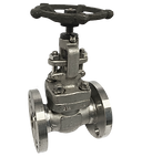 150# SS316 Flange End Globe Valve