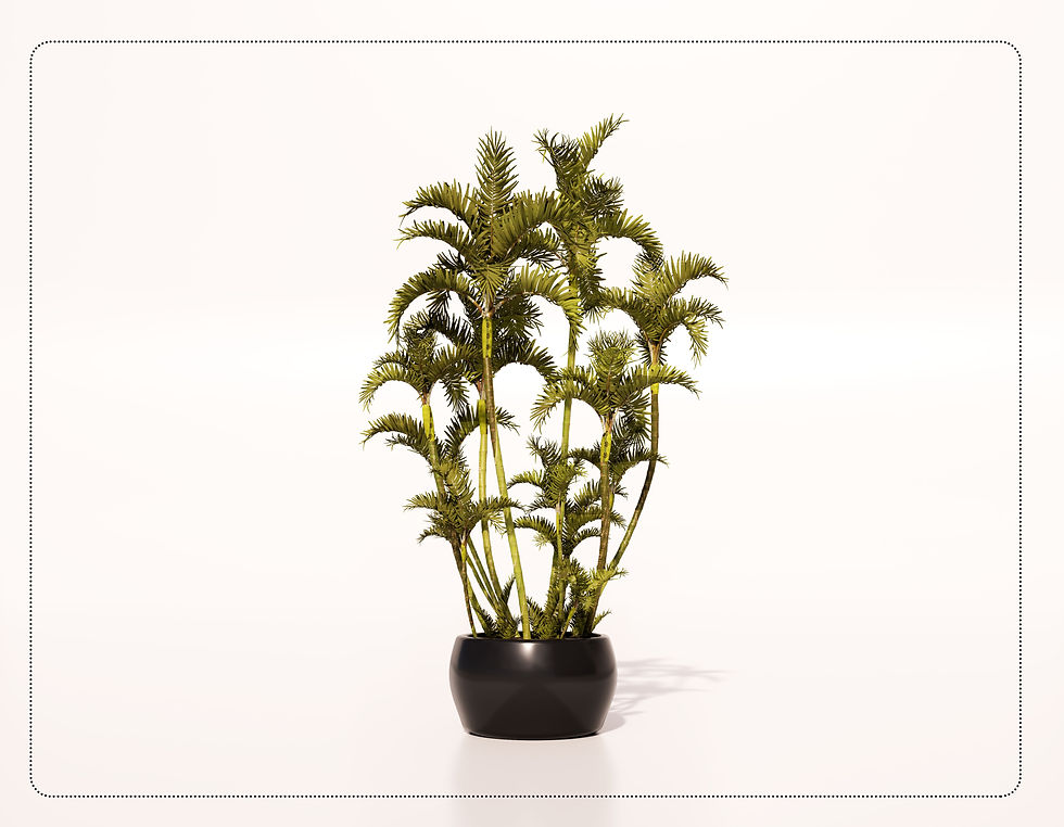 Plant 31 High Quality