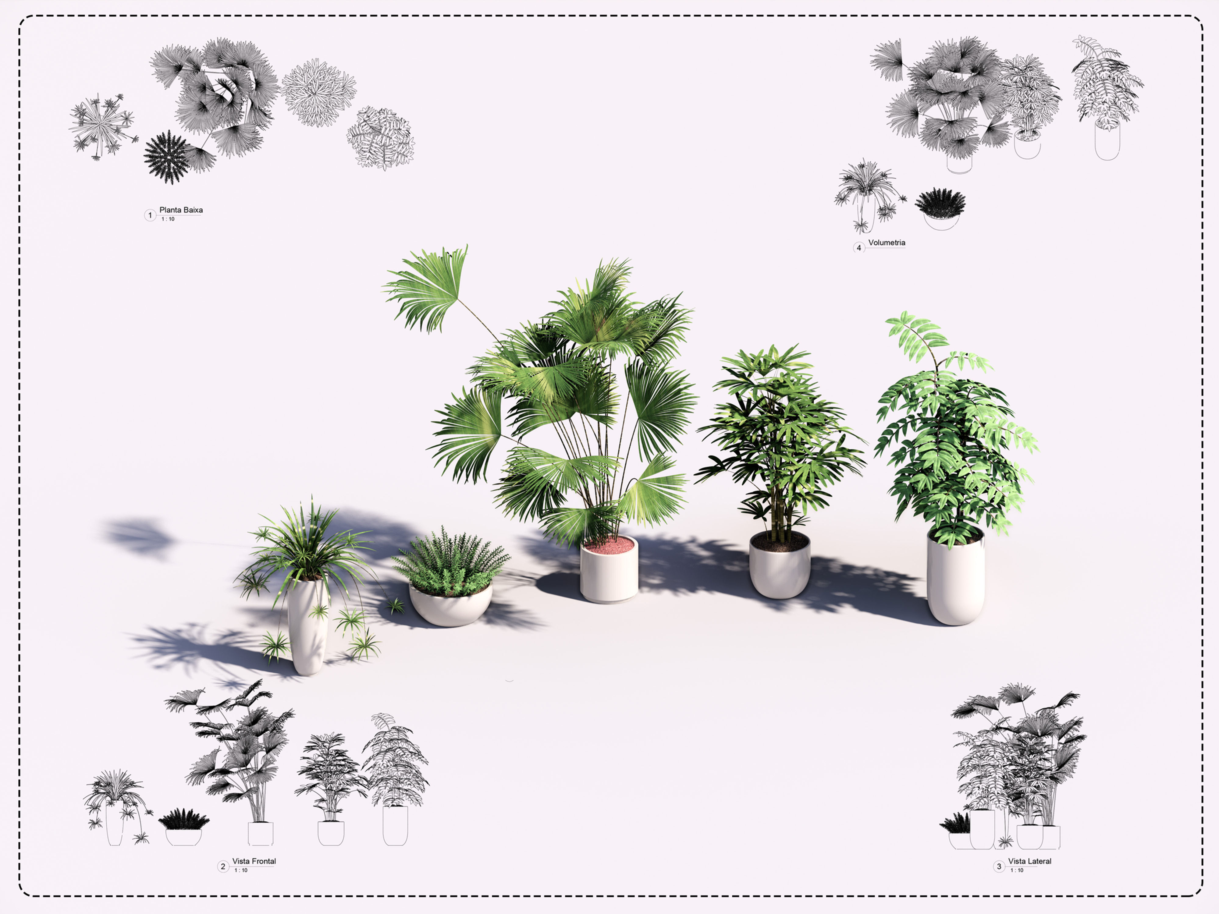 Plant Revit 17 High Quality