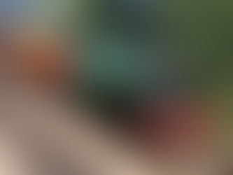 M&GN has acquired Ringhaw and Horace the crane off the NNR.