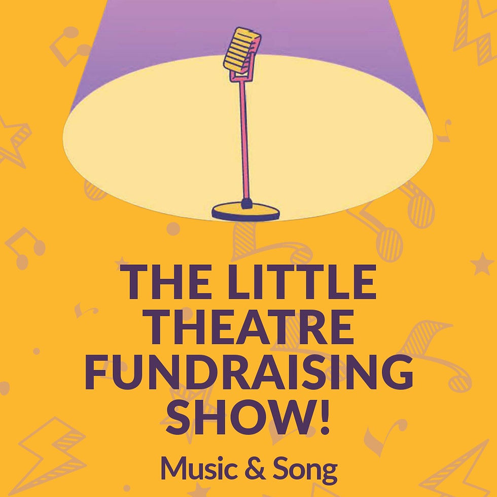 The Little Theatre Fundraising Show
