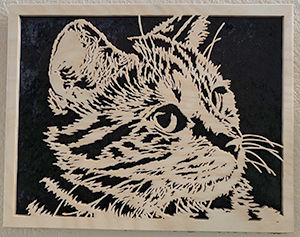 043-cat
