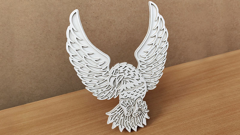 C166-eagle