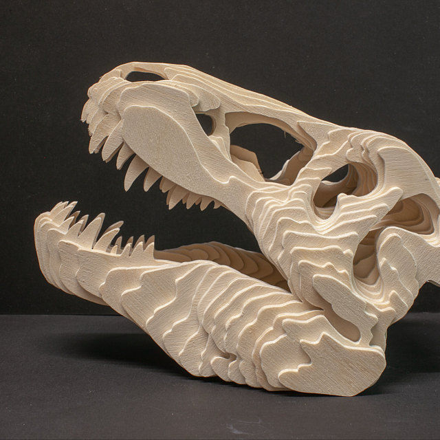 C58-dino skull