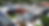 DJI_0539_edited.png