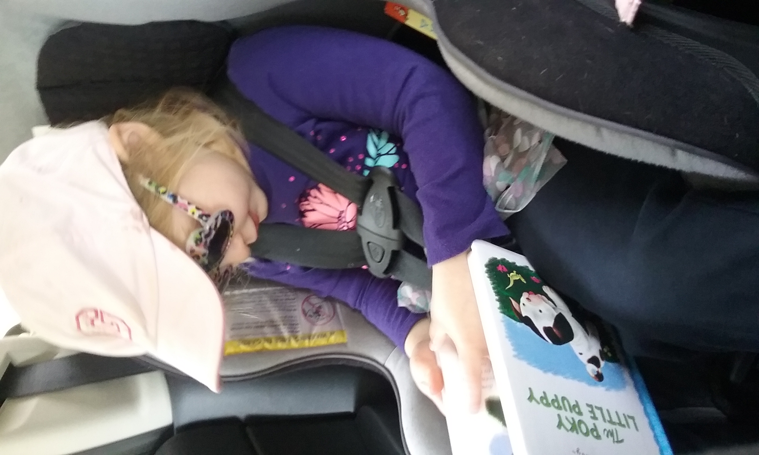 Car Reading!!
