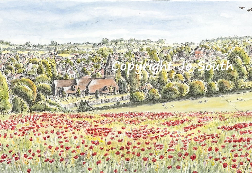 Northfield Poppies CPW 40%. croppedjpg