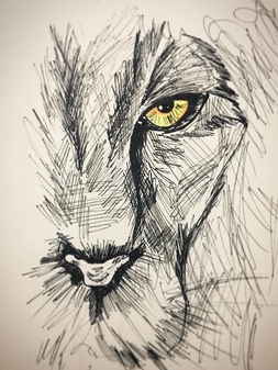 Eye