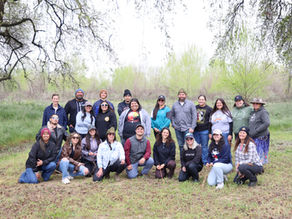 Resilience Rooted Beneath the Oak: Health, Friendship, and Leadership with Restoring Right Relations